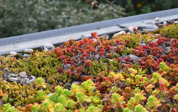 the cost of Acton Scott green roof installation